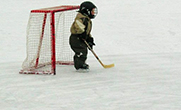 Proč by váš capart měl hrát hokej?